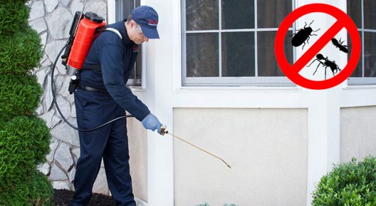 Dilovası Haşere İlaçlama böcek ilaçlama ve haşere kontrolü — ilaclama-tr.com